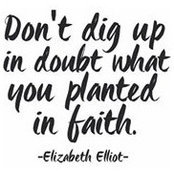 Amanda Denton's photo