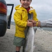 Seth Spielman's photo