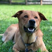 Brian Emery's photo