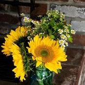 Jesselyn Rego's photo