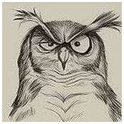 Craig Mueller's photo