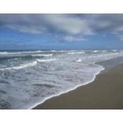 Nancy Jones's photo