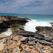 Foster Mckeon's photo