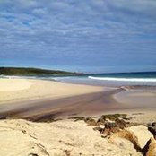 Beth Brett's photo
