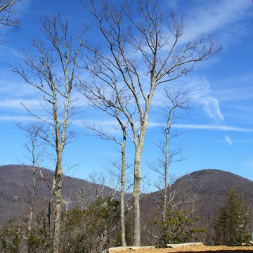 Green Mountain View