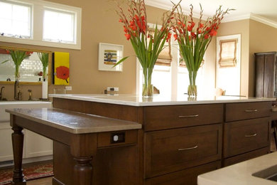 Kitchen - eclectic kitchen idea in Chicago