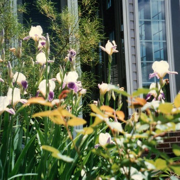 Spring in the Garden