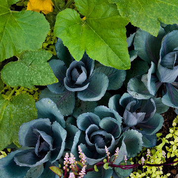York Show House 2011