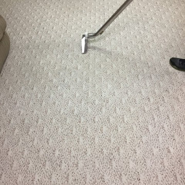 Bloomingdale Basement Berber Carpet Cleaning