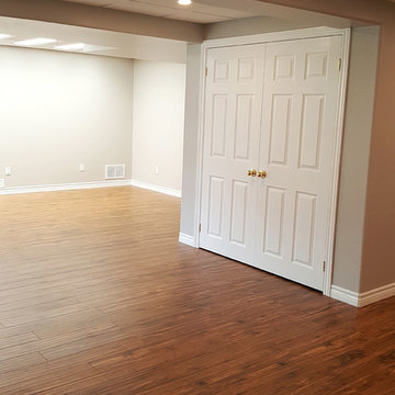 Open Concept Basement