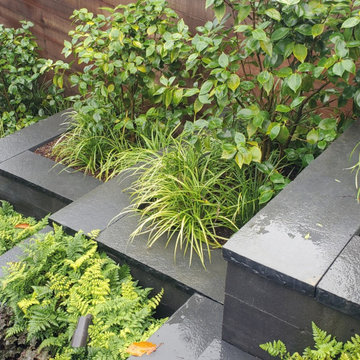 Golden Gate Heights Zen Space