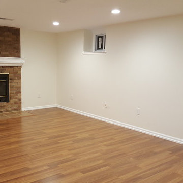 Family Room Renovation