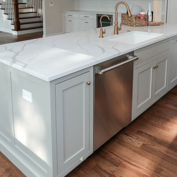 Modern Farmhouse Modified Amelia | Naperville, IL