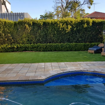 Strathfield - Artificial Grass - Sydney Landscaping