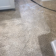 Carpet