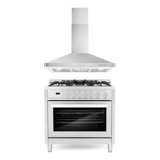 https://st.hzcdn.com/fimgs/c8d1ee0003642d86_2617-w320-h320-b1-p10--contemporary-gas-ranges-and-electric-ranges.jpg