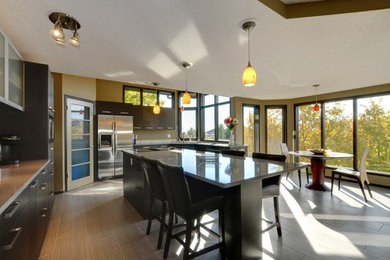 Kitchen - contemporary kitchen idea in Sacramento