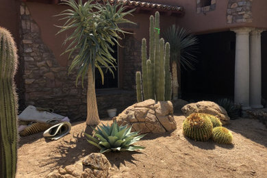 Design ideas for a southwestern landscaping in Phoenix.