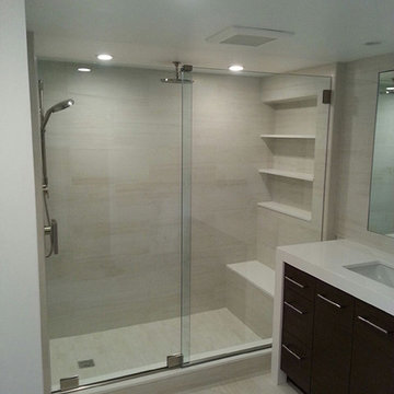 Frameless Single Sliding Shower Doors