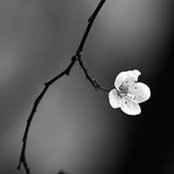 Gail Burns's photo