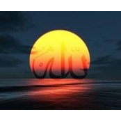 Mahmoud Sayed's photo