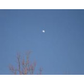 Jason Gant's photo