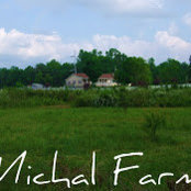 Michal Farm's photo