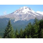 Maria Traxler's photo