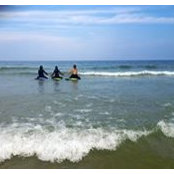 Amanda Blakley's photo