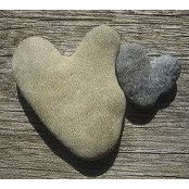Debbi Urich King's photo