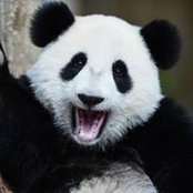 Daniele Burzichelli's photo