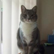 Connie Fox's photo
