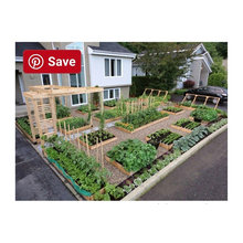 Vegetable Garden Raised Beds
