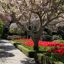 Landscape Ideas