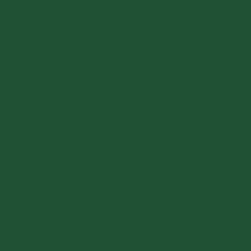 Shamrock - Paint
