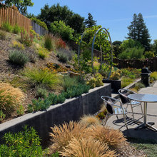 yard ideas