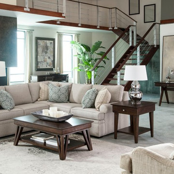 Transitional Living Rooms