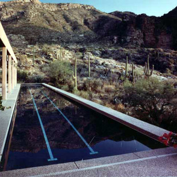 Custom Lap Pool