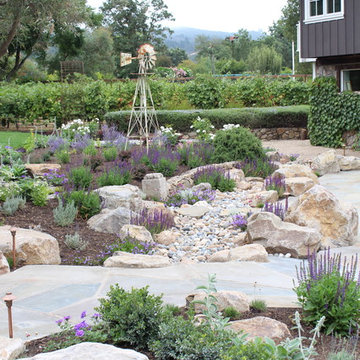 Sonoma Back Yard Renovation