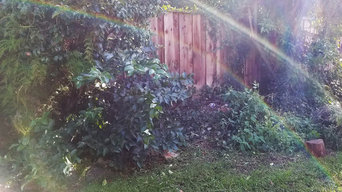 Before photo of the bed along the fence