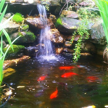 Ecosystem pond