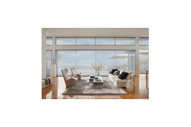 Silhouette and Nantucket Shadings