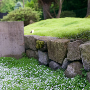 Moss gardens