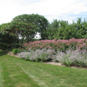 Landscape Ideas