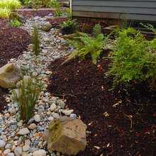 Landscape Ideas