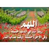 Foto von Radwa Sabry