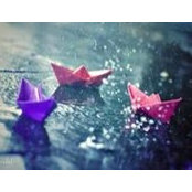 Sara Atito's photo