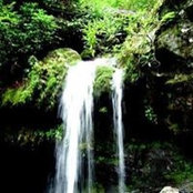 Dee Underhill Hargis's photo
