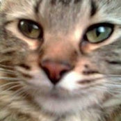 Miranda Ruedy's photo
