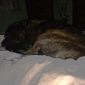 Eva Katene's photo